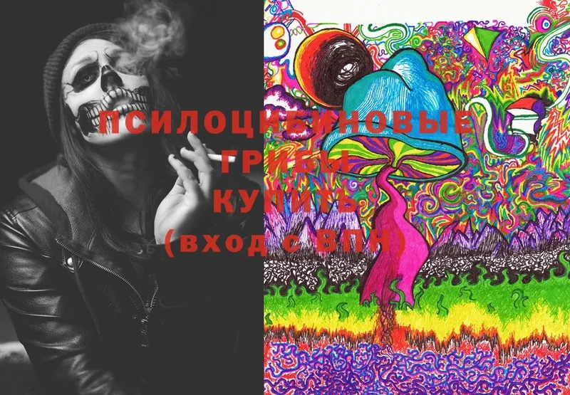 Псилоцибиновые грибы Psilocybe Калачинск